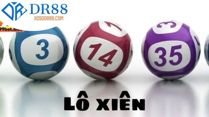 Giới thiệu về DR88