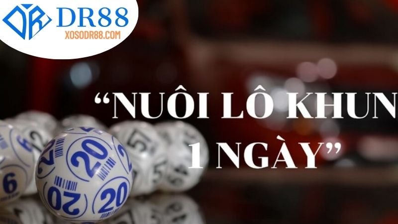 Định nghĩa và Giải thích Lô Khung DR88