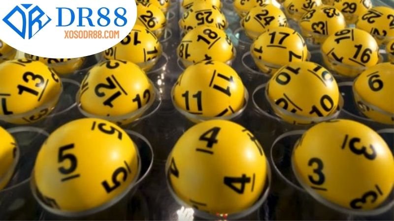 Tổng quan về DR88
